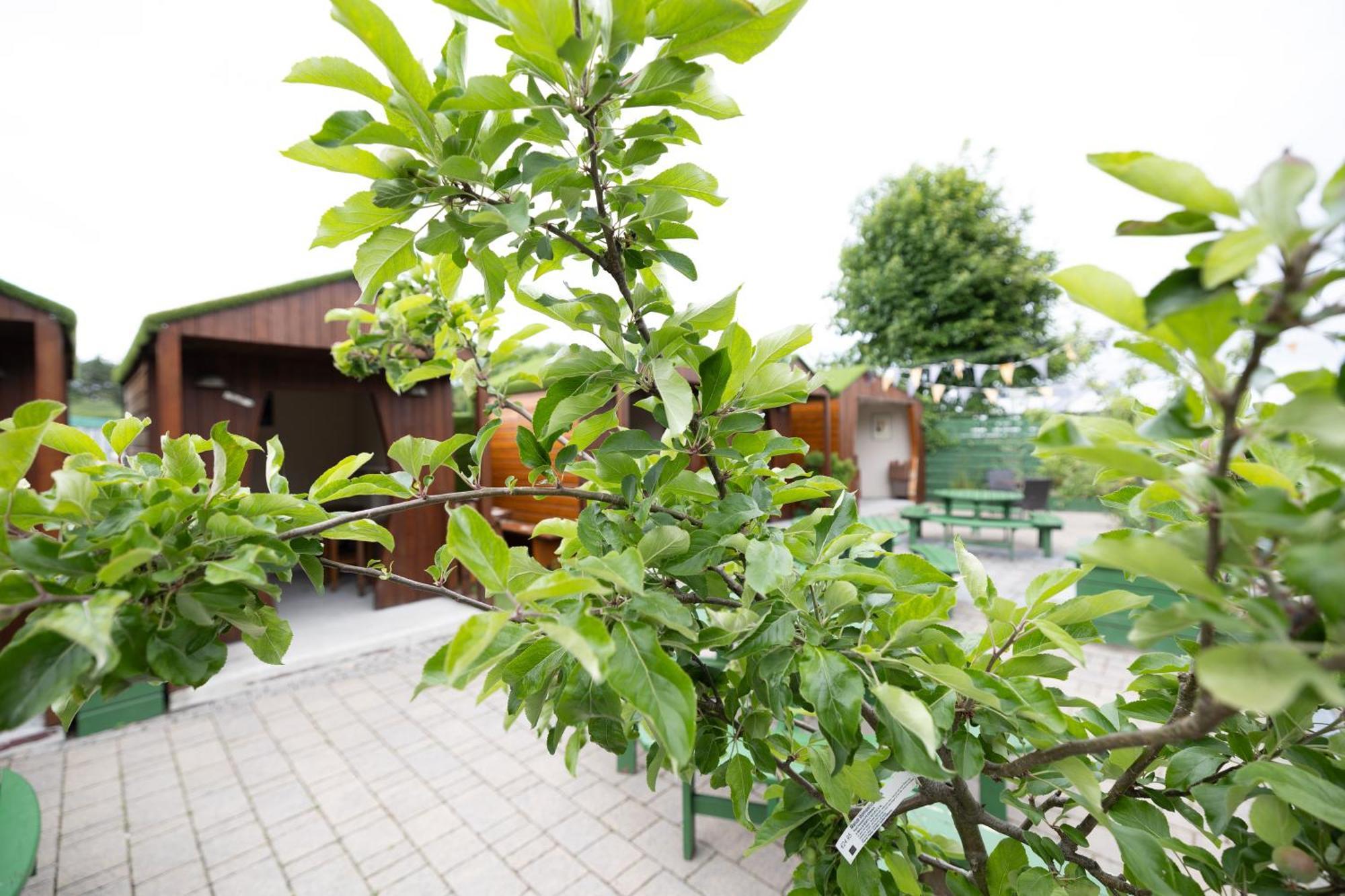 Hotel The Orchard House Kilkenny Exteriér fotografie